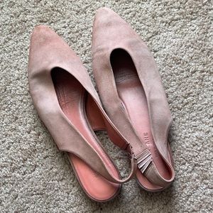 Everlane pointed flat